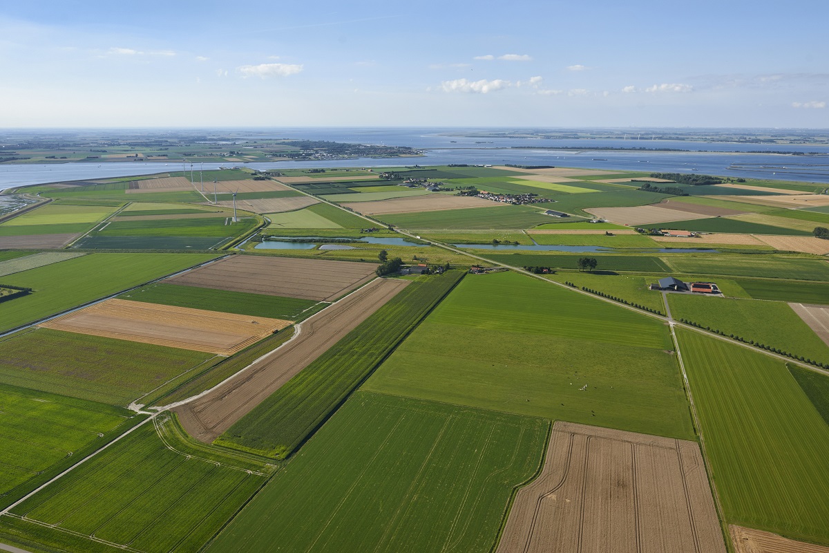 Randland oplossingen praktijkopvolging