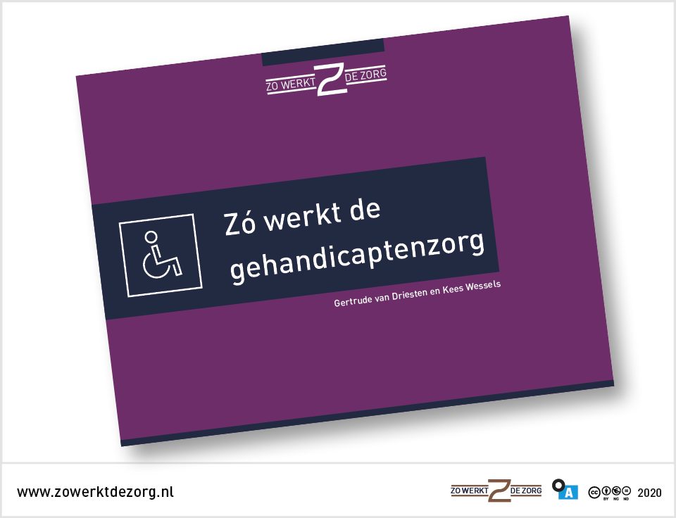 Zo werkt de gehandicaptenzorg