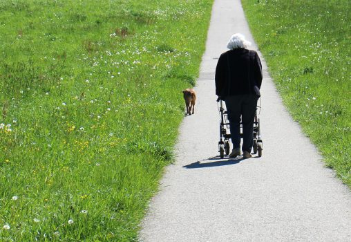 Ketenzorg valpreventie, hoe doen we dat?