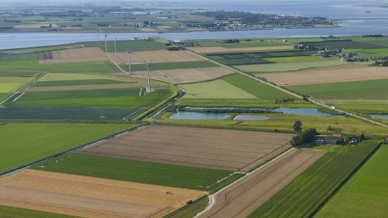 Regio-organisatie Rijn en Duin formeel van start